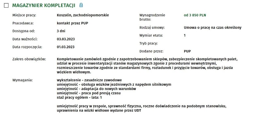 Najnowsze oferty pracy z Koszalina i regionu. Kogo poszukują...