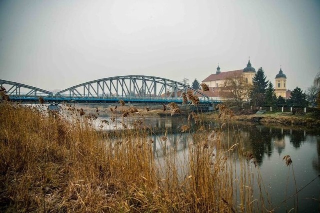 Nowa inwestycja ma zwiększyć jeszcze bardziej walory turystyczne Tykocina i chronić przyrodę. Ścieżka edukacyjna jest połączeniem dbałości o wizerunek Tykocina, ale też jest ukłonem w kierunku tutejszej przyrody.