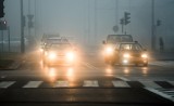 Kujawsko-Pomorskie. Uwaga kierowcy! IMGW ostrzega przed mgłami, widoczność będzie ograniczona