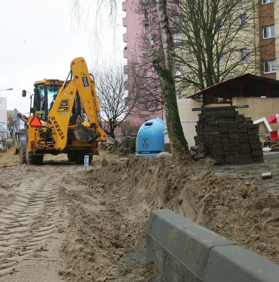 Trwają prace ziemne na ulicy Kadłubka w Szczecinie. Cierpi na tym zieleń rosnąca wzdłuż jezdni. Drzew nawet nie zabezpieczono, czego wymagają przepisy.