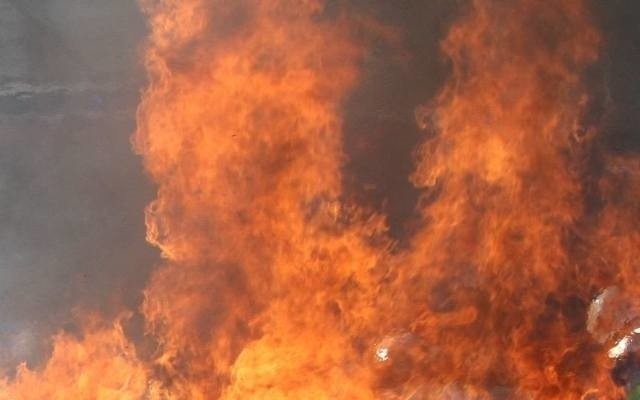 W niedzielne popołudnie doszło do pożaru lasu w miejscowości Ruda (gmina Kazanów).