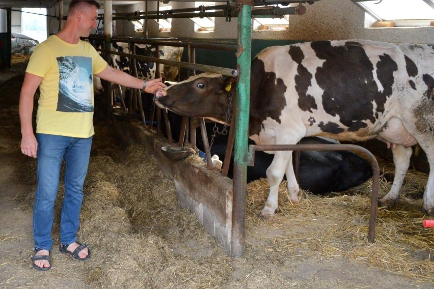 Gospodarstwo Tomasz Ślęzaka wśród najbezpieczniejszych w województwie. Grunt to sprawne maszyny i bystry umysł [ZDJĘCIA]