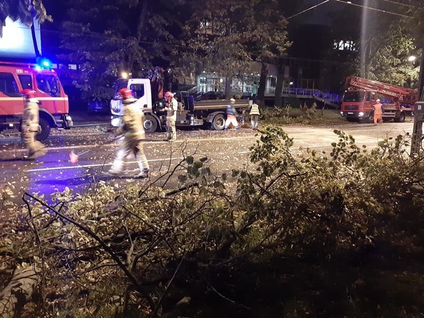 Silny wiatr w Lublinie i regionie. Strażacy interweniowali 412 razy