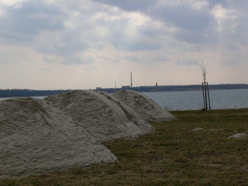 Plażowicze wypoczną nad Jeziorem Tarnobrzeskim na czystym piachu