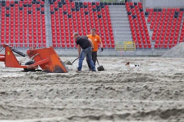 Tychy: rozpoczęła się operacja wymiany murawy