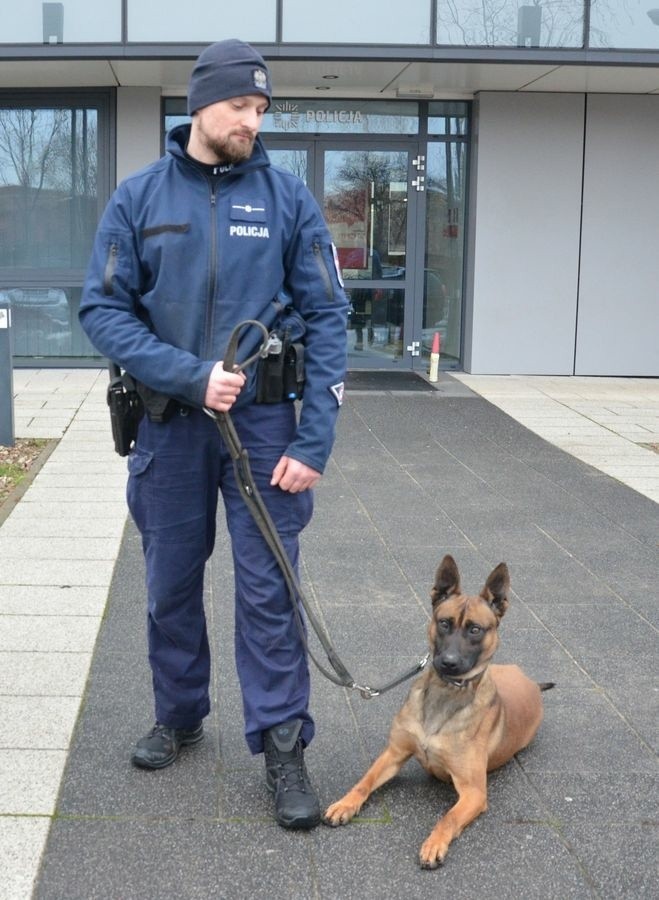 Gdańska policja ma nowego psa służbowego - Irona