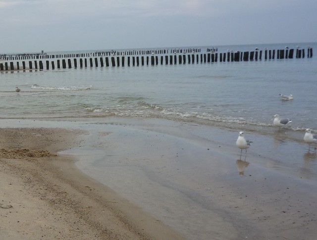Plaża w JuracieMiasta Polski z najdroższymi mieszkaniami