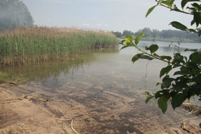 Porządkowanie terenu nad zalewem w Bolminie