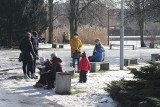 Łyżwy, spacery i... gofry: zimowe popołudnie na terenach OSiR Skałka w Świętochłowicach