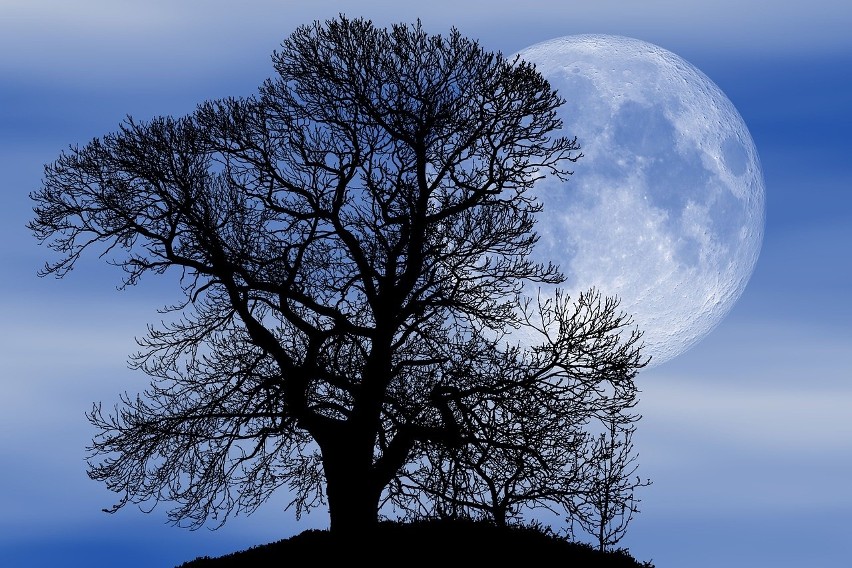 Księżyc Żniwiarzy 2019 - co to jest, kiedy oglądać? Przed nami Pełnia Żniwiarzy czyli wyjątkowa Pełnia Księżyca!