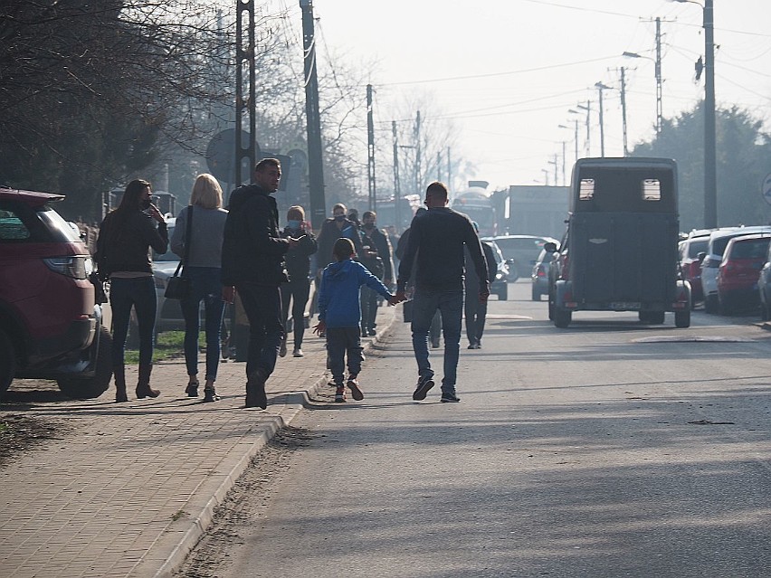 Pierwotnie największa w Polsce licytacja koni miała się...