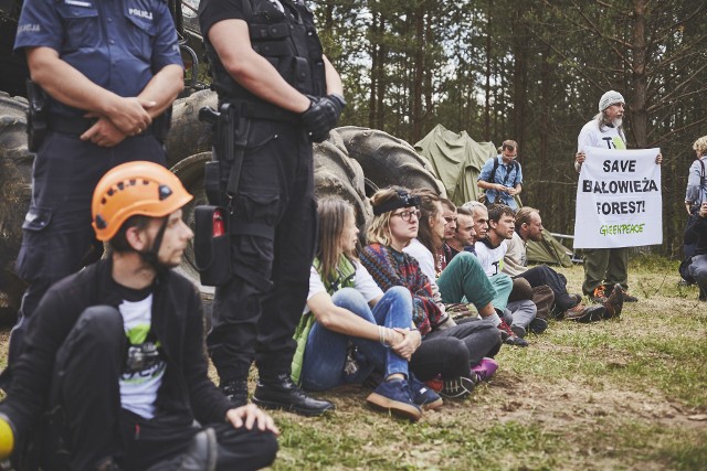 Blokada wycinki drzew w Puszczy Białowieskiej