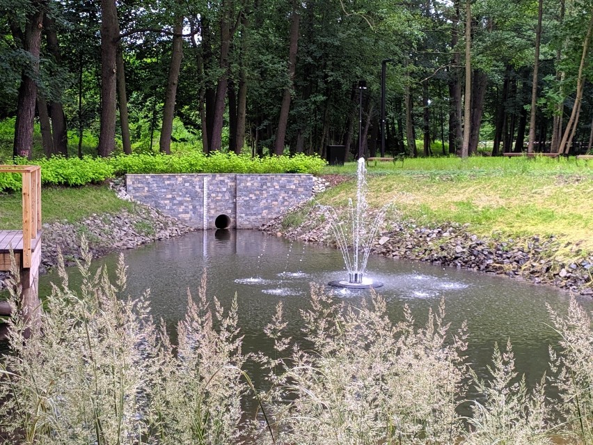 Bulwary nad Lublinicą zachwycają. Mieszkańcy mogą już...