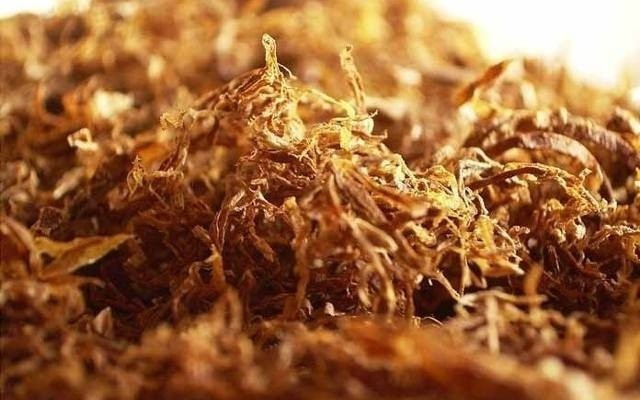 Skarbówka prześwietla Fermentownię Tytoniu Krasnystaw 