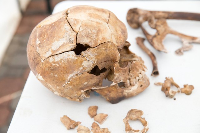 Kości ofiar komunistycznych oprawców znalezione podczas prac archeologicznych w Białymstoku