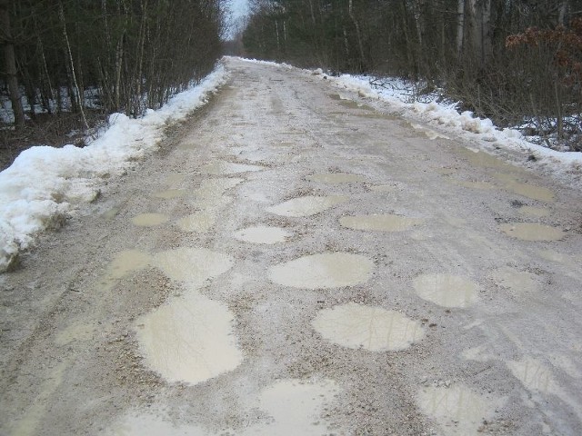 Tak wygląda droga powiatowa przy posesjach radnego miejskiego Stefana Lesiaka i sołtysa Bebelna Wsi Jana Ruty.