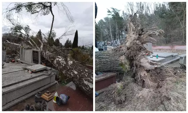 Wiatr nie oszczędził nawet Cmentarza Farnego w Białymstoku. Przewrócone drzewa porozbijały groby