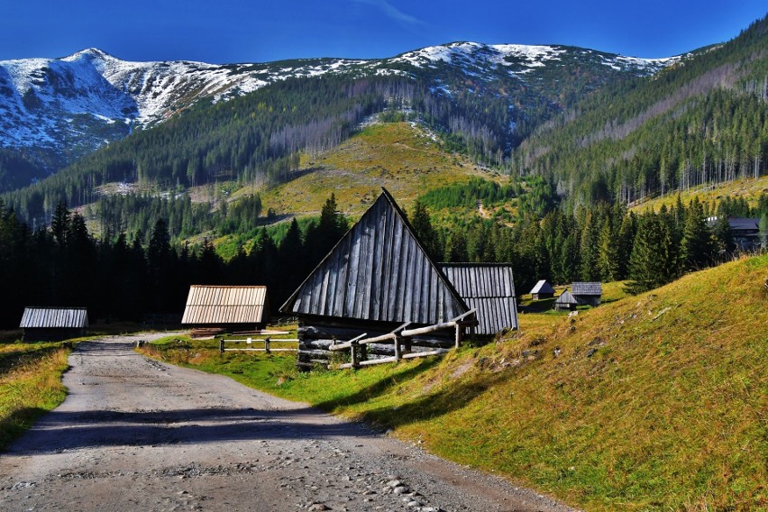 Tatry. Urokliwa Dolina Chochołowska w jesiennych barwach. Warto zobaczyć to miejsce o tej porze roku 