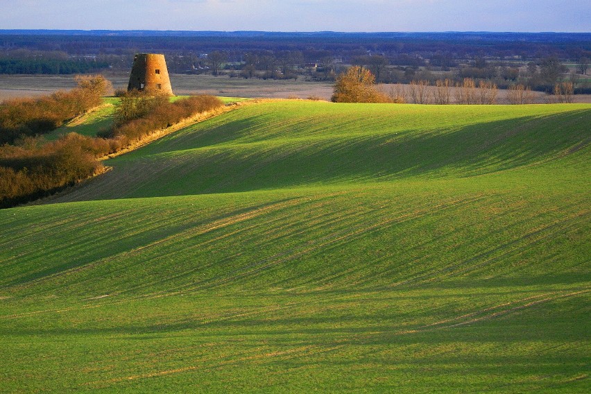 Zdjęcie pt. "Ruiny wiatraka" zwyciężyło w konkursie...