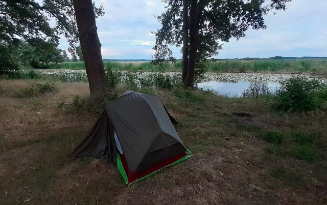 Nocleg w Puszczy Wkrzańskiej - ciekawa opcja na letnia przygodę?