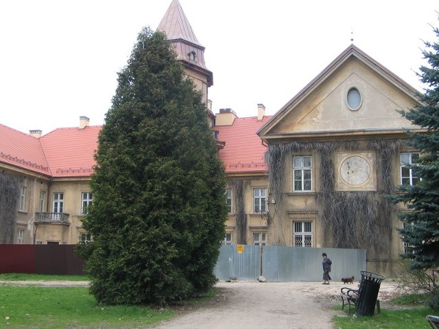 Zamek w Dzikowie po remoncie stanie się siedzibą Muzeum Historycznego Miasta Tarnobrzega. Dotychczas udało się odnowić piwnice i dach zamku. Kolejne roboty ruszą wraz z napływem unijnej dotacji do miejskiej klasy
