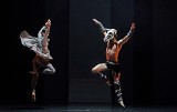 Teatr Wielki w Łodzi: „Strumień” teatralnej poezji oraz zespołowej jakości. „Wieczór debiutów choreograficznych: Hubris/Face The Truth”