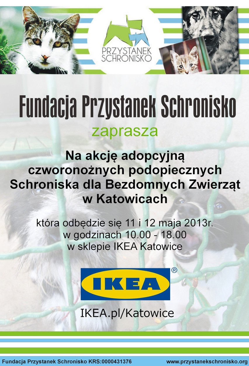 Ikea Katowice: Fundacja Przystanek Schronisko zachęca do...