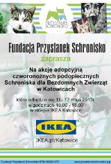 Fundacja Przystanek Schronisko w IKEA w Katowicach zachęca do adopcji psów i kotów [ZOBACZ]