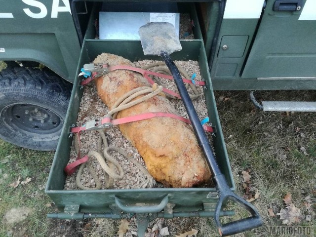 Bomba na boisku w Ligocie Prószkowskiej.