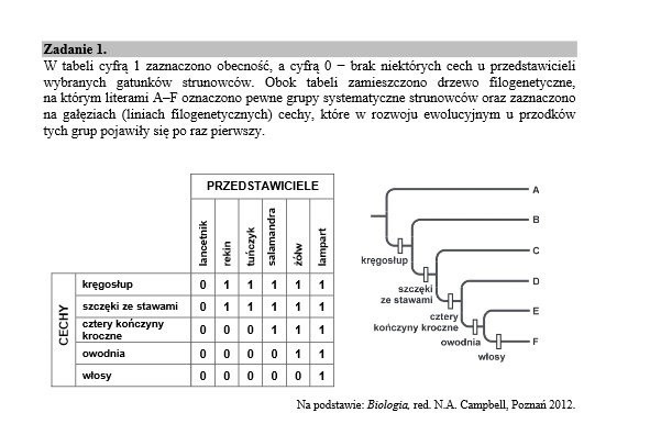 Matura 2015 Biologia podstawowa i rozszerzona. Co na maturze? ARKUSZ CKE - ODPOWIEDZI