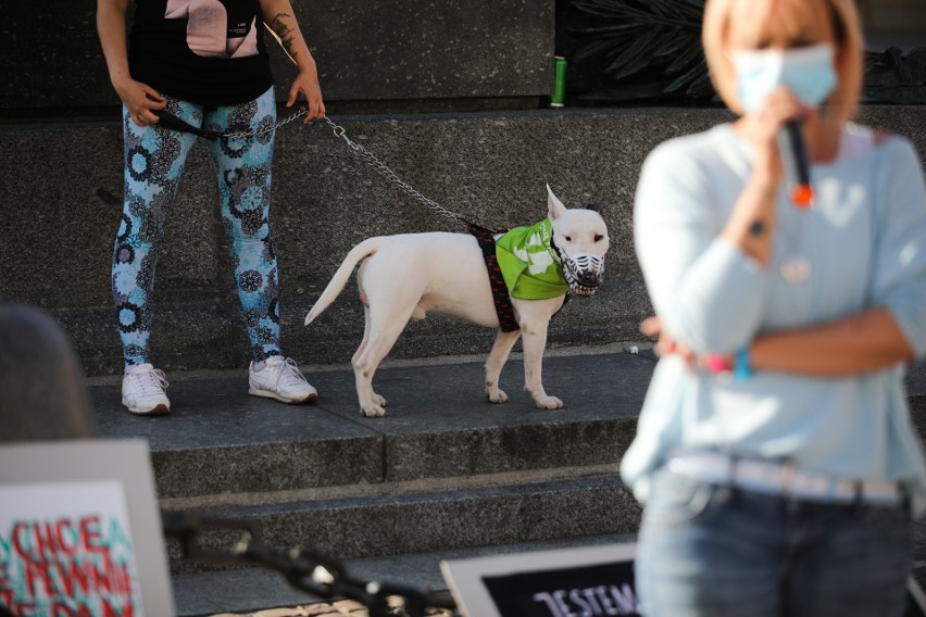 Antypisowska i antyklerykalna manifestacja "pod Adasiem" na krakowskim Rynku [ZDJĘCIA]