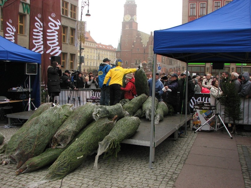 Wrocław, darmowe choinki na placu Solnym