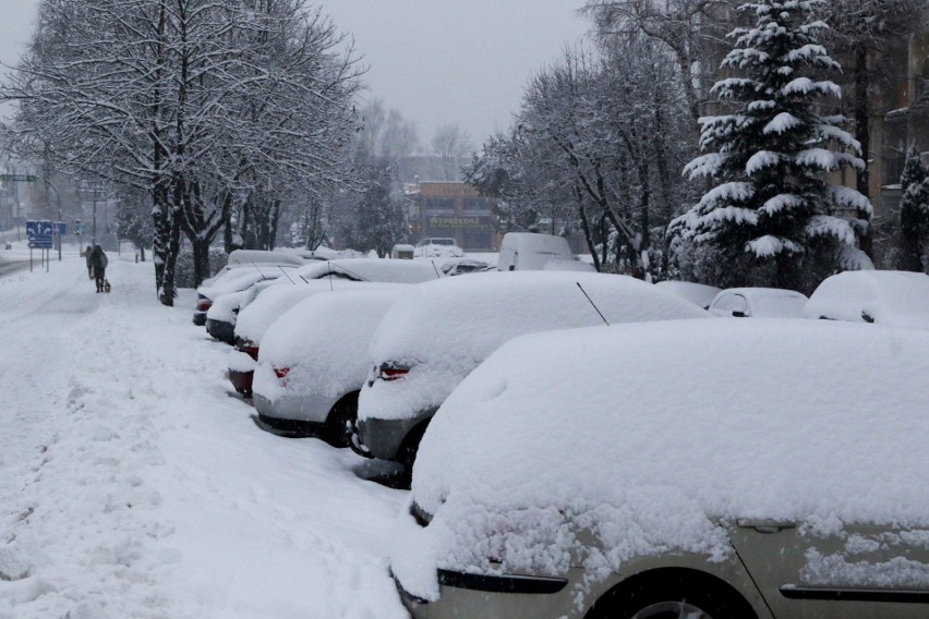 Nowy Sącz. Zima trzyma, a odwykliśmy od śniegu i mrozu