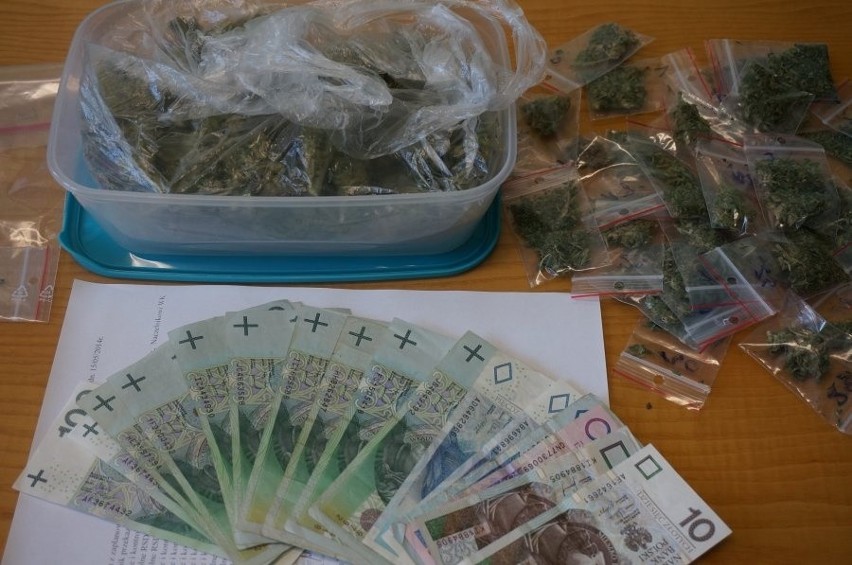 Marihuana w Rybniku: Policjanci ujawinili 200 działek...