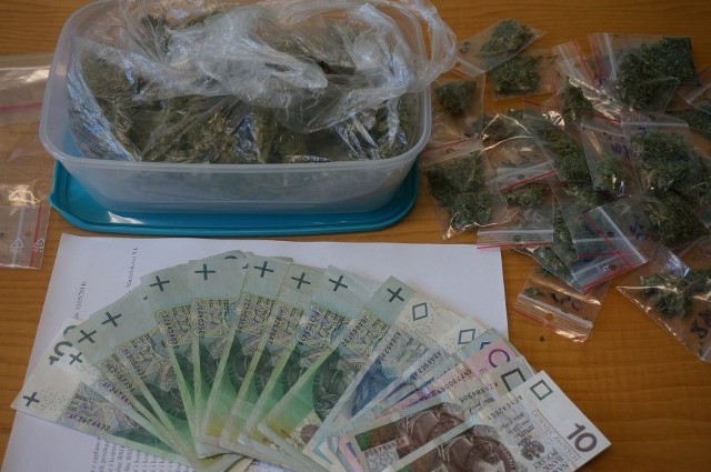 Marihuana w Rybniku: Policjanci ujawinili 200 działek narkotyku