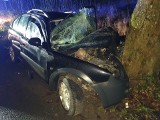 Fatalny wypadek na Dolnym Śląsku. Nastolatek bez prawa jazdy wjechał autem w drzewo. Do szpitala trafiło 8 młodych osób