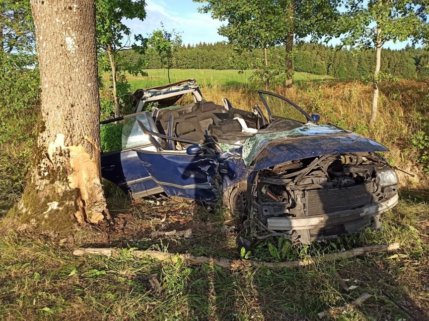 Budwiecie. Auto wbiło się w drzewo. Rannych trzeba było wycinać (zdjęcia)