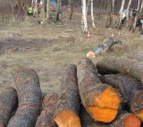 Klecza Górna k. Wadowic. Śmiertelny wypadek podczas wycinki drzew. Mężczyzna porażony prądem AKTUALIZACJA