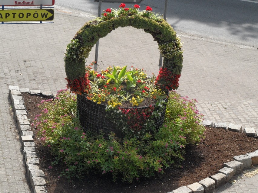 Bytom: Kwiaty w mieście i roślinne rzeźby. Dobry pomysł?