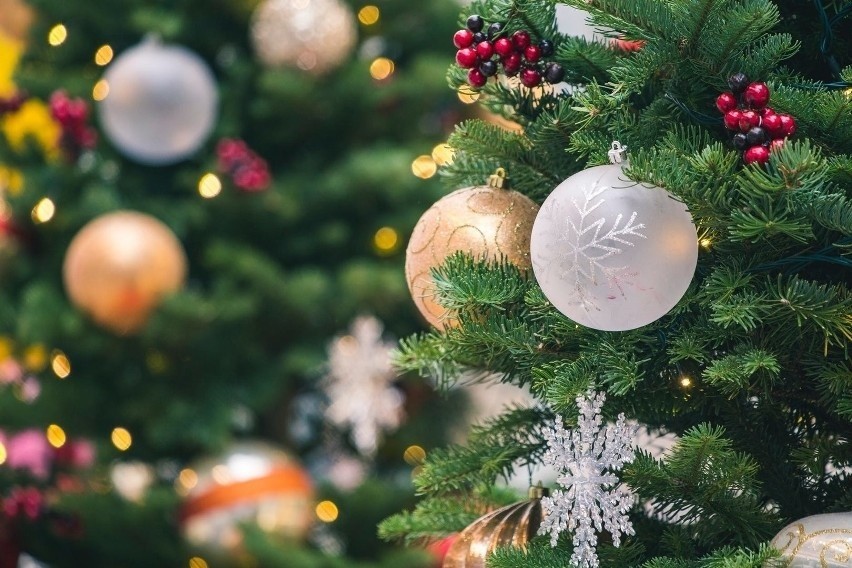 Życzenia świąteczne 2021: Boże Narodzenie - życzenia idealne na sms-a, kartkę, maila. Jakie życzenia świąteczne wysłać sms-em? [21.12.21]