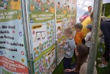 Wielkie głosowanie dzieci w Ogrodzie Botanicznym w Zielonej Górze. Jak będzie wyglądał plac zabaw w Bajkowej zagrodzie?