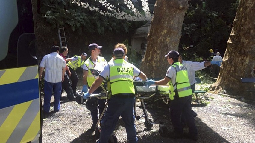 Portugalia, Madera: Tragedia w Funchal. Drzewo przygniotło ludzi, zginęło 12 osób [ZDJĘCIA] [WIDEO]