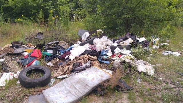 - Proponujemy opuścić lekcje i wspólnie z nami posprzątać skrawek naszej planety. - mówi Aleksandra Stasiak, rzecznik prasowy łódzkiego MPO. ZOBACZ WIĘCEJ NA KOLEJNYCH SLAJDACH!