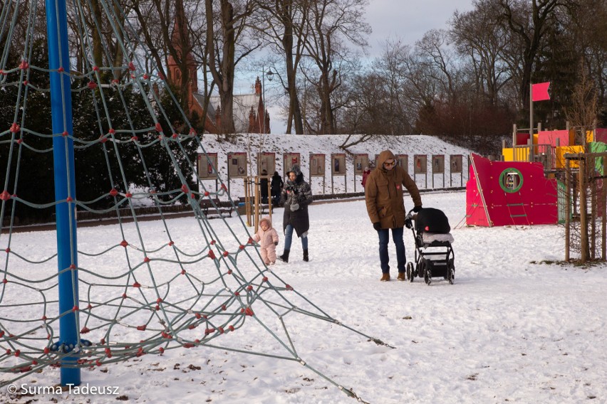 Stargard. Ziemne trampoliny i bike park zainstalowane będą w parku Chrobrego