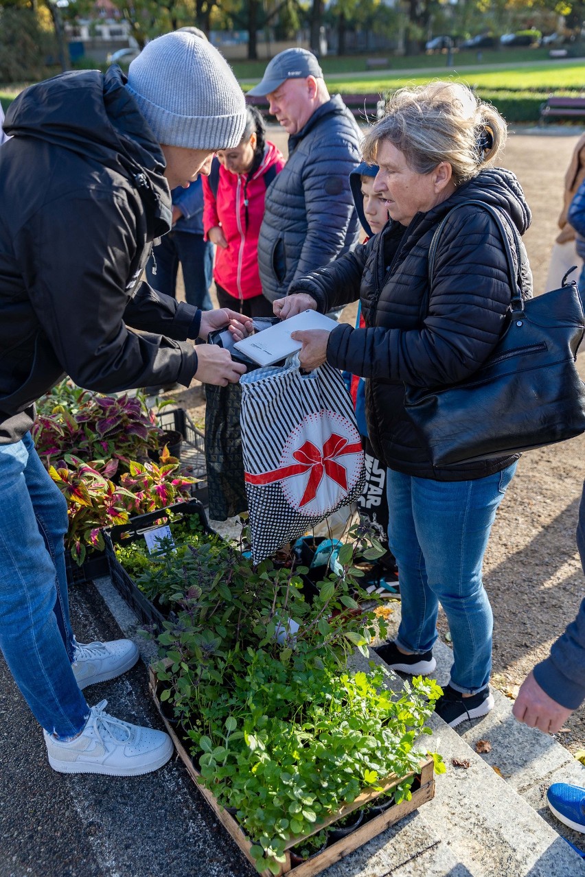 "Kwiat za grat" w Szczecinie. Jakie rzeczy wymieniano za rośliny? Sprawdź! [ZDJĘCIA]