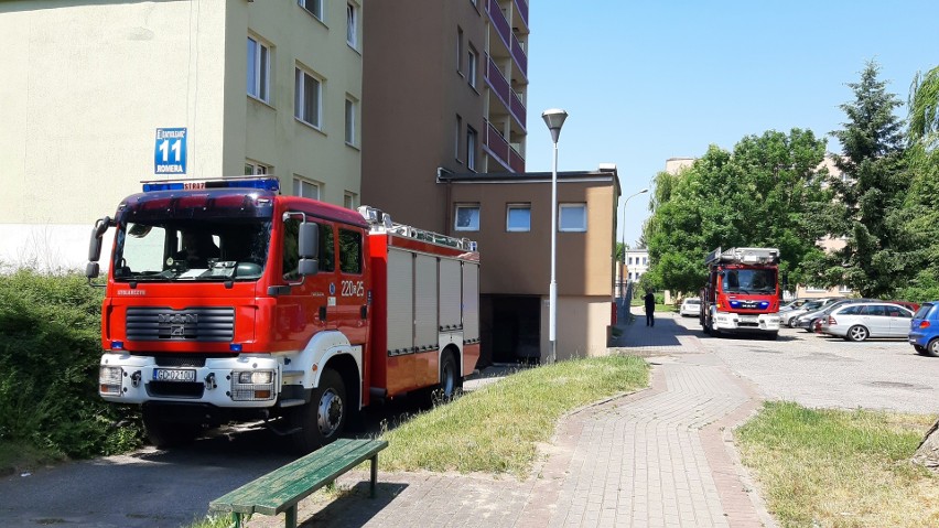 Pożar w bloku przy ulicy Romera w Słupsku. Palił się śmietnik [zdjęcia]