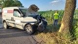 Tragiczny wypadek w powiecie mogileńskim. Auto uderzyło w drzewo, zginął kierowca