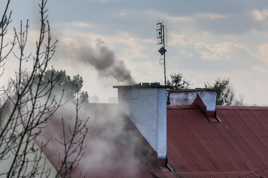 Zobacz, czym oddychamy. Smog w Katowicach, Zabrzu, Gliwicach, Zabrzu, Żywcu, Rybniku. Bielsku WYKRES