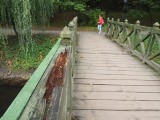 Uwaga! Mostek w parku w Koszalinie nadal zamknięty!  