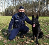 Policjanci ze Strzelec Opolskich mają nowego psa tropiącego